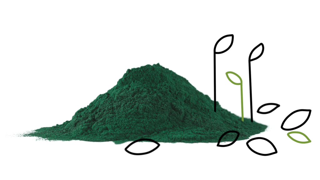 spirulina green vitality